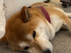 -三目仓咖啡(贤南路店)