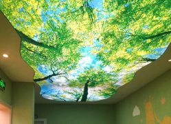 -木子亲国际婴幼儿水育中心(北美N1店)