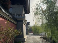 -句容茅山景区