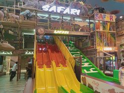 -卡通尼·Safari非洲探索乐园·生日会(金桥国际商业广场店)