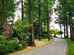 -浙江西子宾馆·瑶园咖啡厅