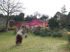 -东莞植物园