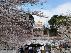 -苏州上方山国家森林公园