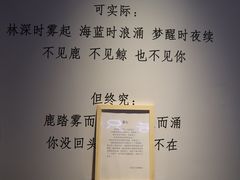-成都失恋馆