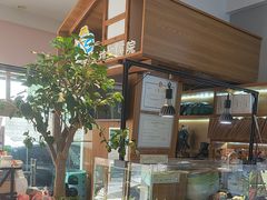 -可蒙动物医院·猫科·骨科中心(首义路店)