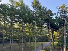 -长春市南湖公园