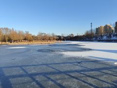 -前关湿地公园