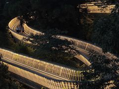 -福道