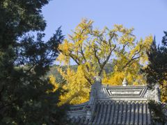 -无锡惠山寺