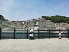 -安徽大青山野生动物世界