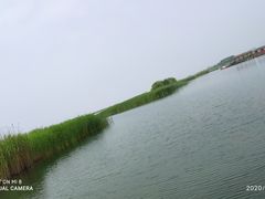 -太湖湖滨国家湿地公园-停车场
