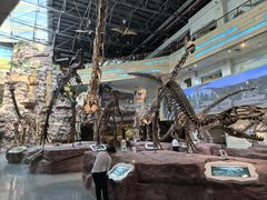 -安徽省地质博物馆