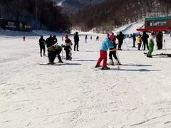 -亚布力新体委滑雪场