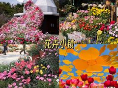 -深圳野生动物园