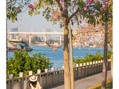 -广州国际生物岛