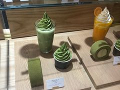 -雪绿茶博物馆