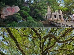 -江心屿景区