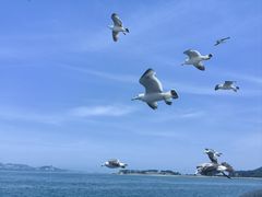 -刘公岛景区