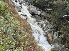 -少华山国家森林公园