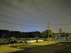 -紫阳湖公园-津水路公共停车场