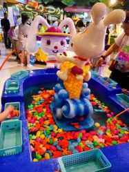 -卡通尼·Safari非洲探索乐园·生日会(金桥国际商业广场店)