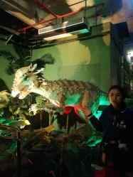 点击看大图 -恐龙探索乐园(磁器口店)