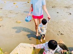 -南汇嘴观海公园