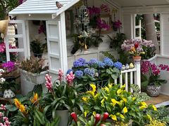 -北京植物园-展览温室