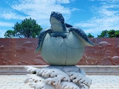 -广东惠东海龟国家级自然保护区