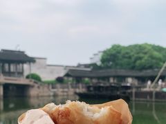 -乌镇东栅景区