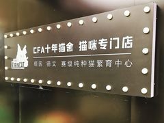 -十年猫舍·猫咪专门店(普陀店)