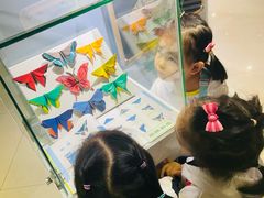 -上海昆虫博物馆