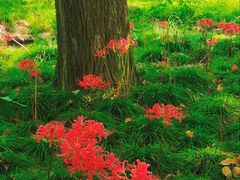 -共青国家森林公园-售票处