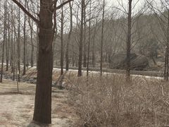 -白水寺森林公园