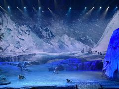 -华夏文旅海洋公园