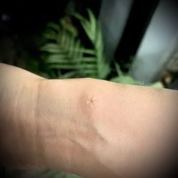 -PinooTattoo皮奴刺青纹身设计总部