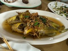 -凤嫂农家乐(梁弄店)