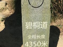 -梧桐山风景名胜区