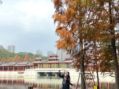 -重庆彩云湖湿地公园