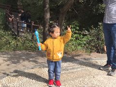 -伏羲大峡谷