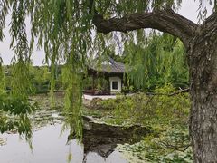 -无锡蠡湖国家湿地公园-蠡园