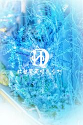 -上海虹桥锦江大酒店·宴会厅