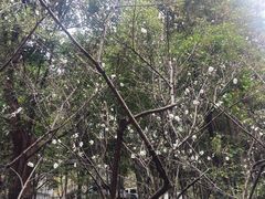 -重庆彩云湖湿地公园