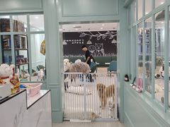 -安格丽娜·狗咖·猫咖羊驼咖(春熙路百盛商场店)