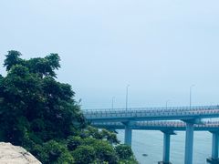 -星海湾跨海大桥