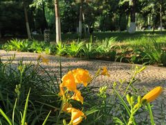 -燕郊植物园