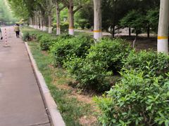 -山东理工大学