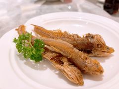 -喜来登由由大酒店九州膳坊中餐厅