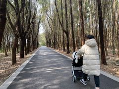 -同里国家湿地公园