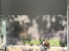 -旭龙鱼头王(航华店)